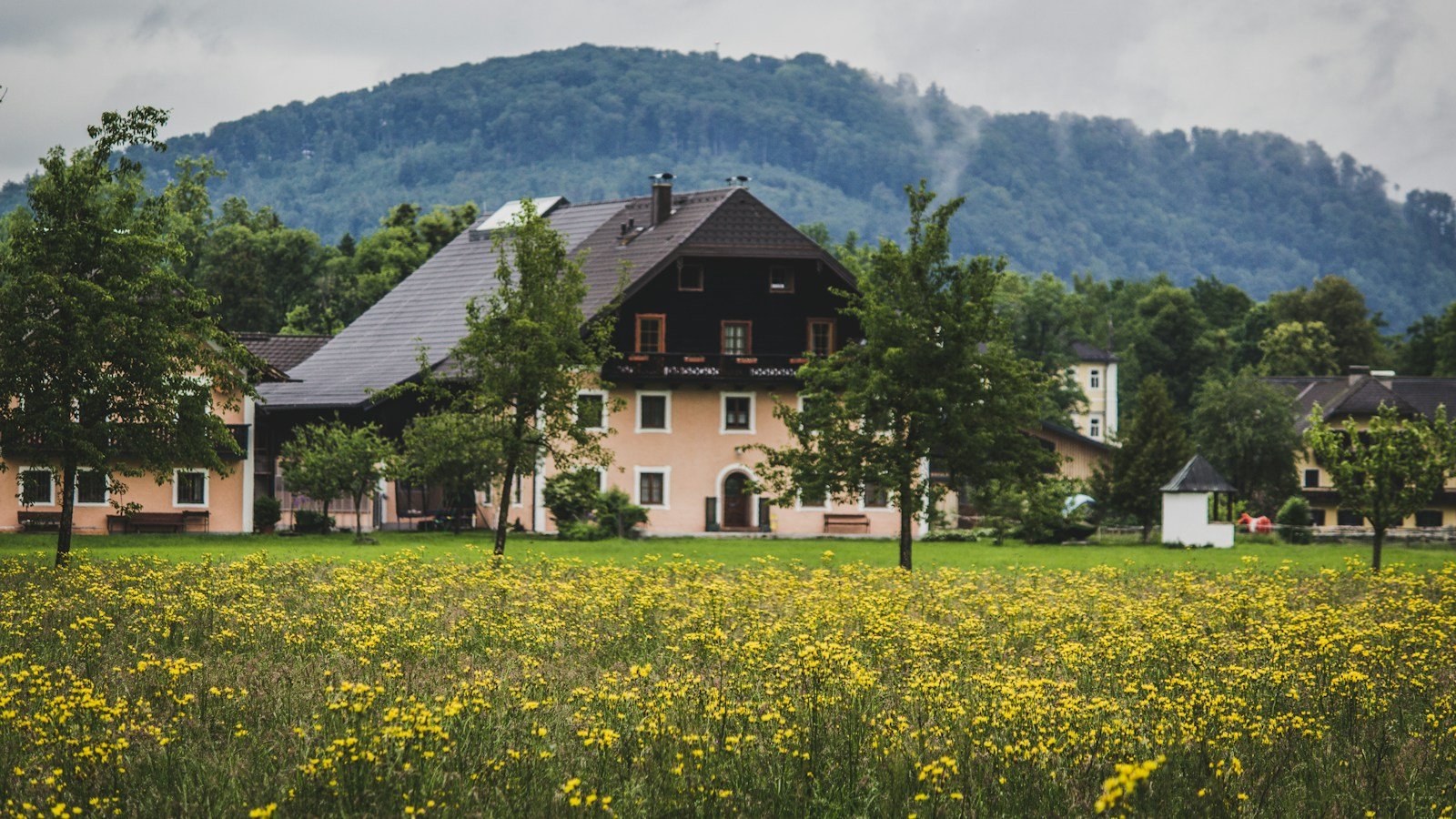 Landhaus mit Garten vor bewaldeten Hügeln