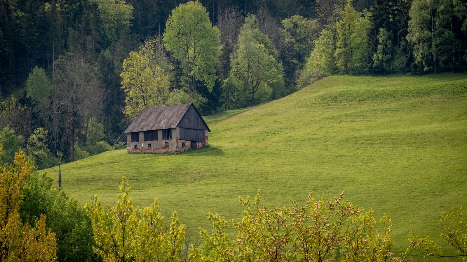 Alter Hof auf einer grünen Wiese vor dem Waldrand
